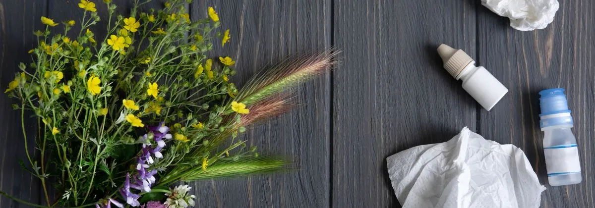 L'icona della Allergologia e Immunologia dello Studio Vircos