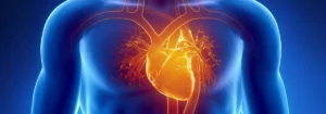 L'icona della Cardiochirurgia dello Studio Vircos