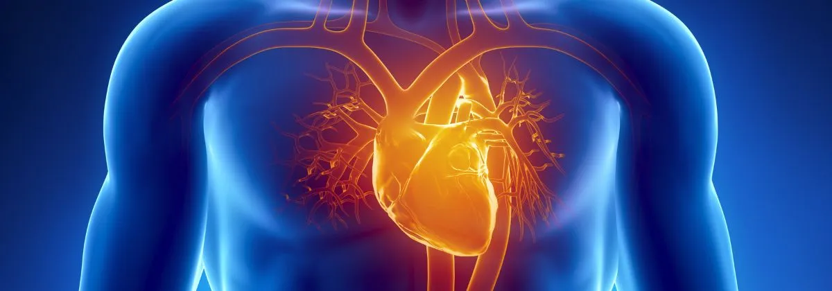Cardiochirurgo Roma