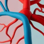 Angiologia e Chirurgia Vascolare