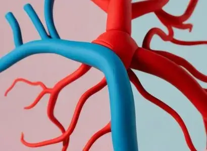 Angiologia e Chirurgia Vascolare